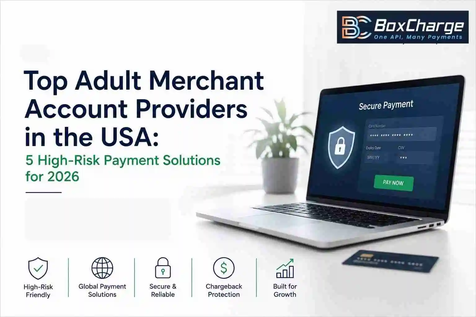 Top Adult Merchant Account Providers in the USA: 5 High-Risk Payment Solutions for 2026 — BoxCharge Blog
